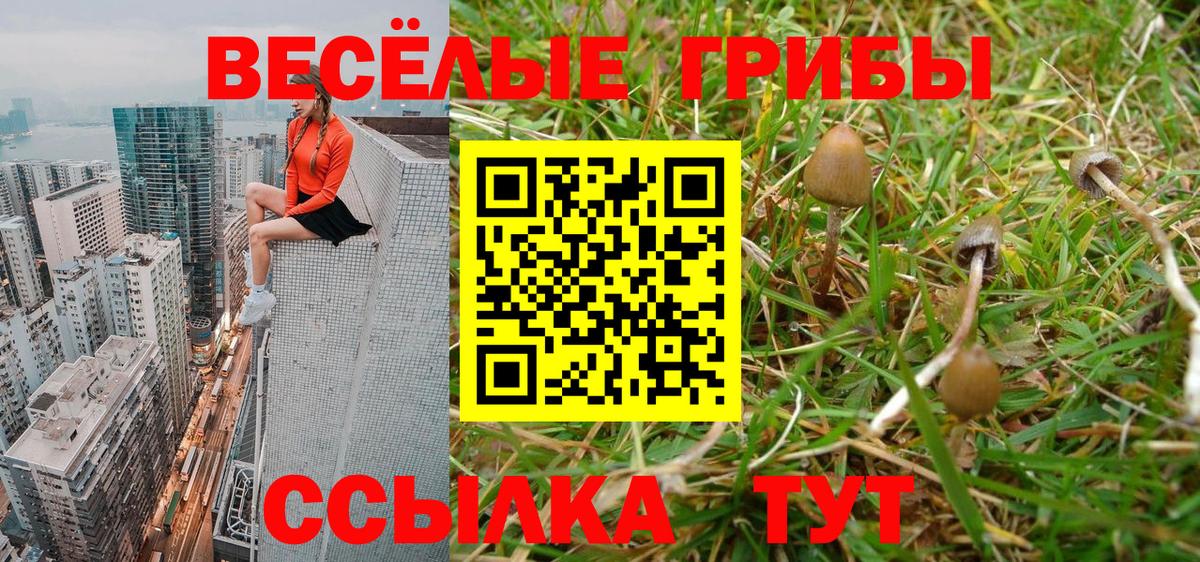 Псилоцибиновые грибы мухоморы  Вход с VPN  сколько стоит  Ипатово 